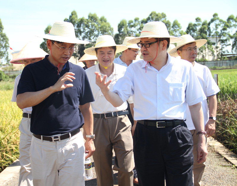 ����ʡ�Ƽ����������Ҷ����һ�е��鲨������