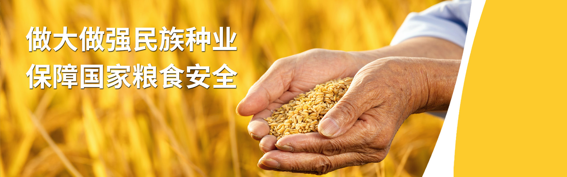 ̸��ɹٷ���վ - רҵ��������ƽ̨