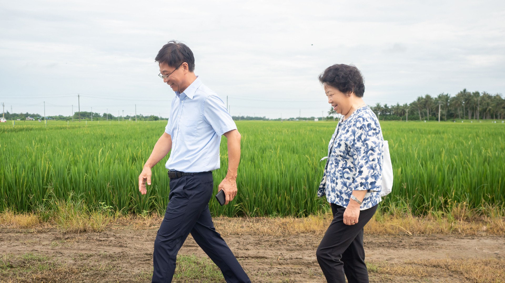 1743138405130017.jpg 1743138405130017.jpg