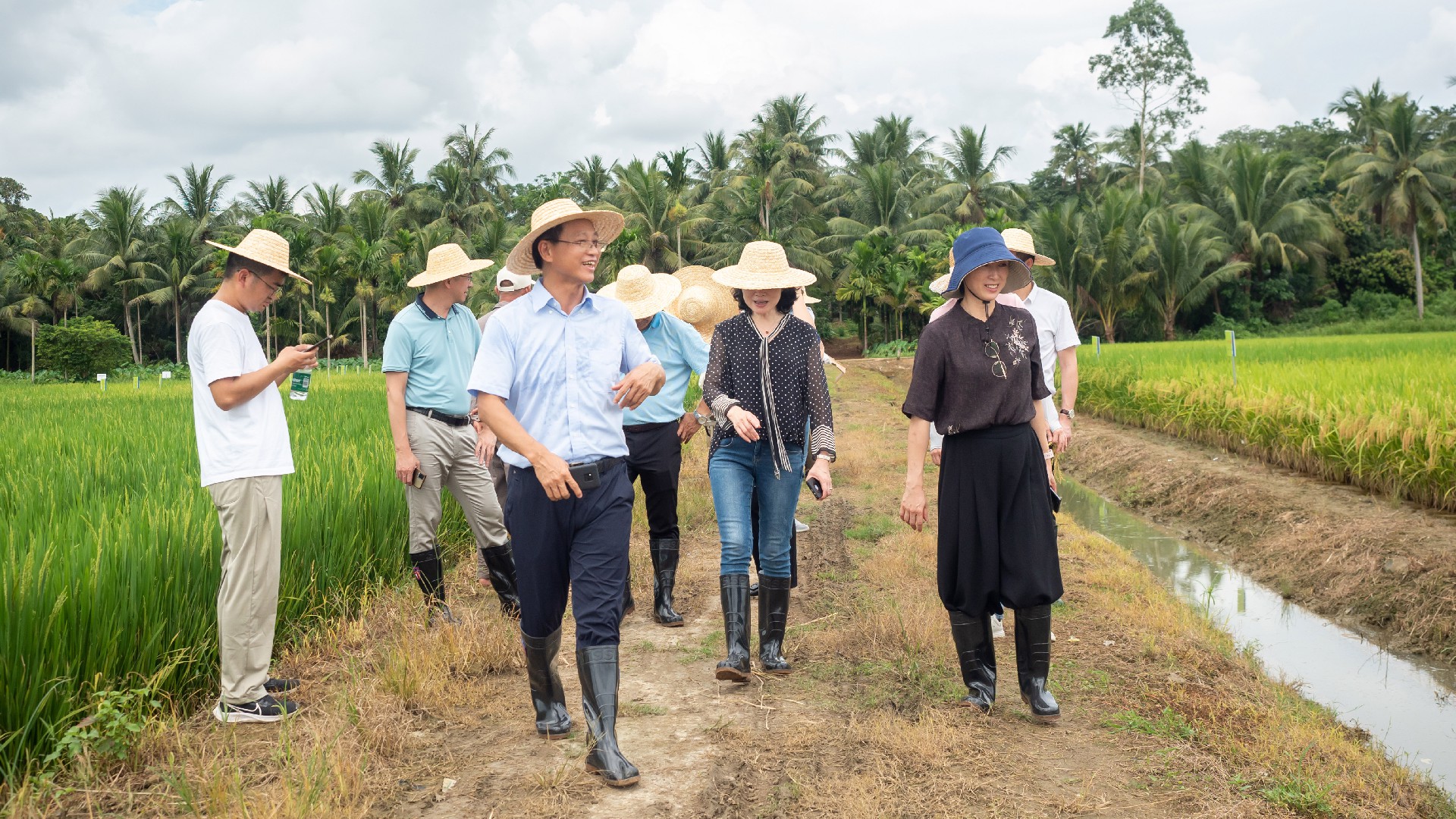 1743138466393935.jpg 1743138466393935.jpg