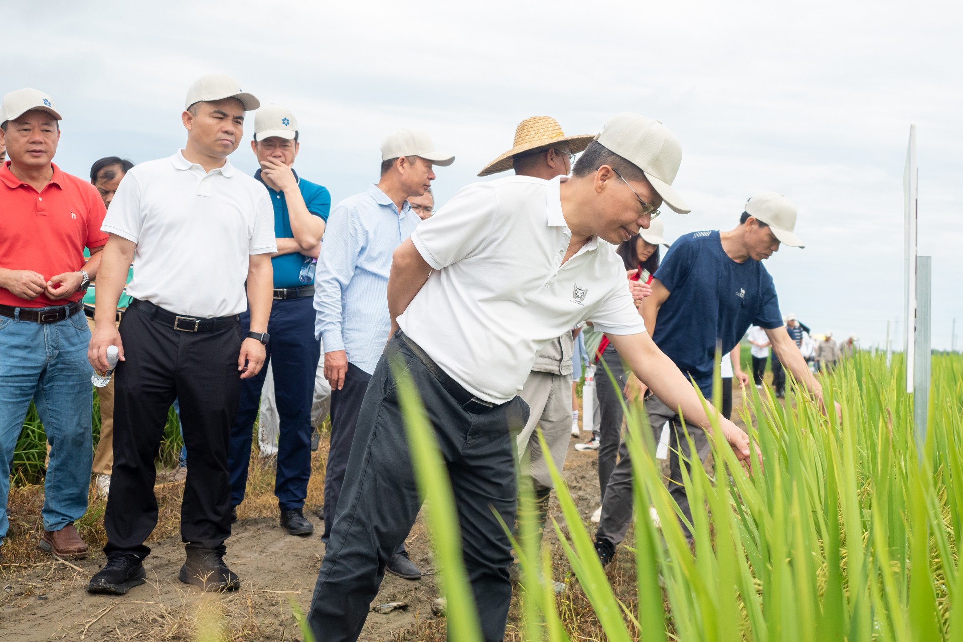 1743138642123374.jpg 1743138642123374.jpg