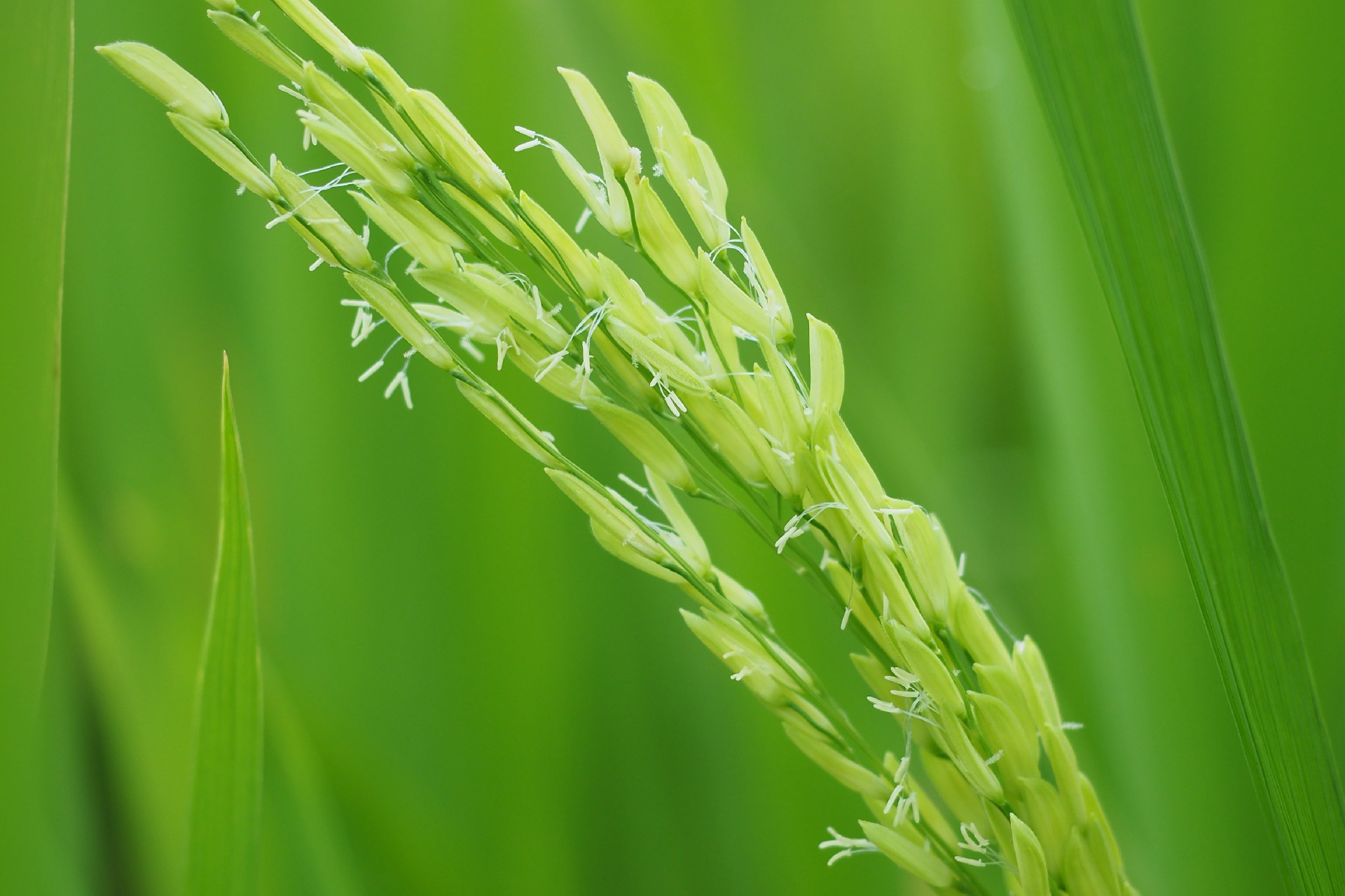 1743139872353796.jpg 1743139872353796.jpg