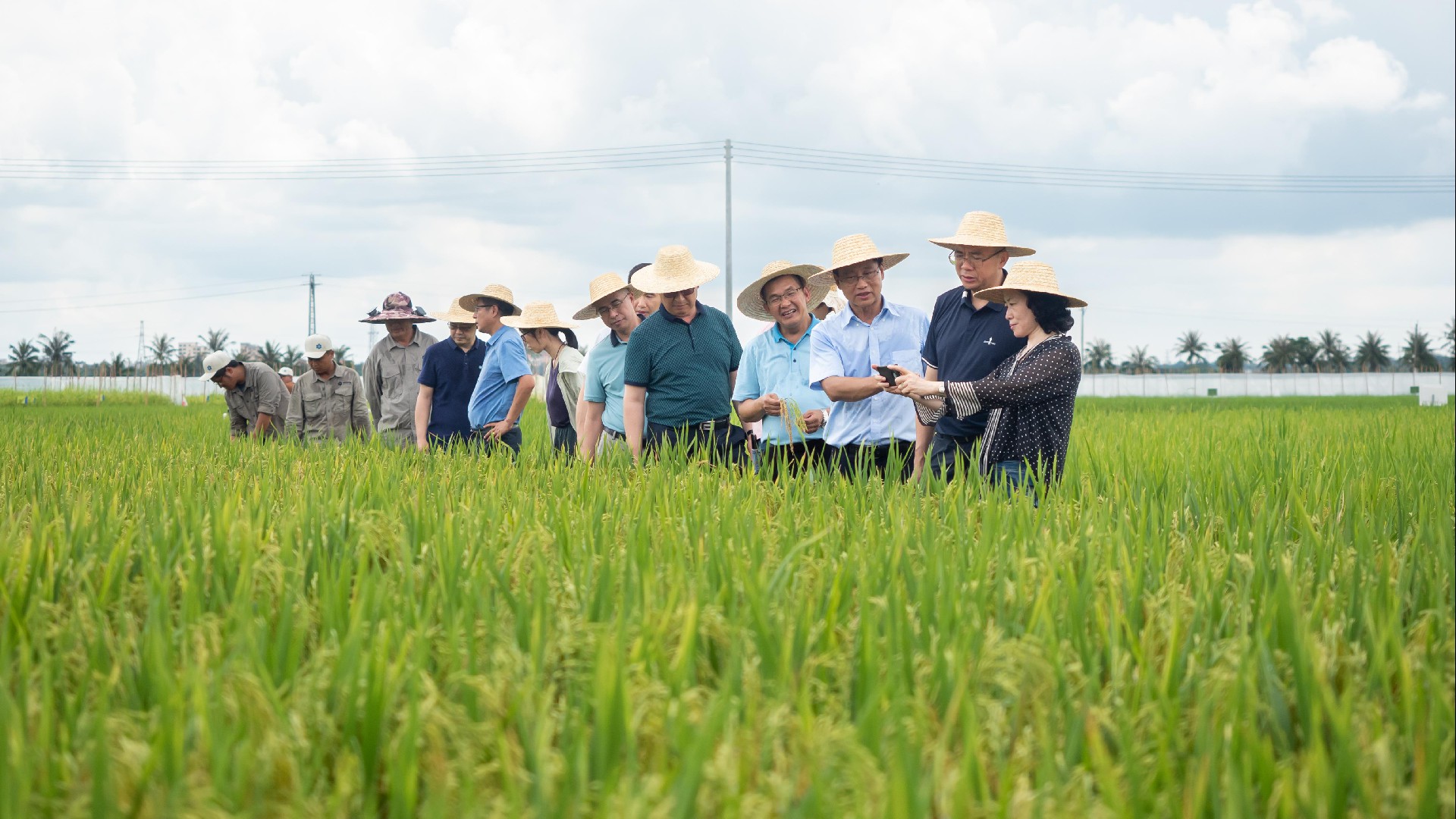 1743140022178784.jpg 1743140022178784.jpg