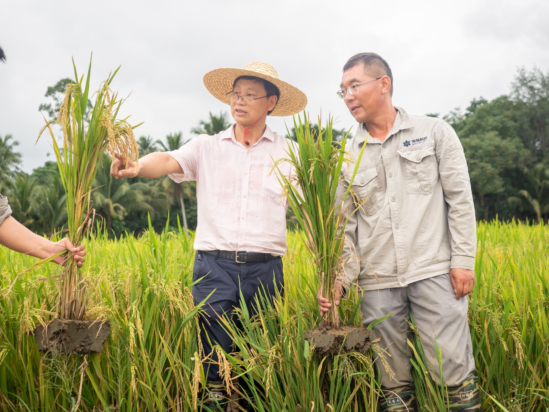 1743140024773026.jpg 1743140024773026.jpg